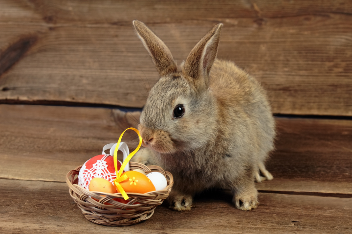Become a Hero like Gillian – An Easter bunny surprise for all her clients during the Covid-19 pandemic