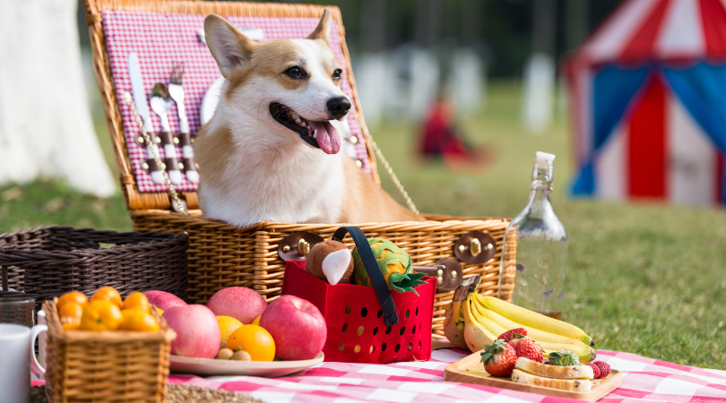 5 ways a simple picnic can improve your health