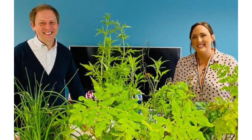 Radfield launches wellbeing gardening club