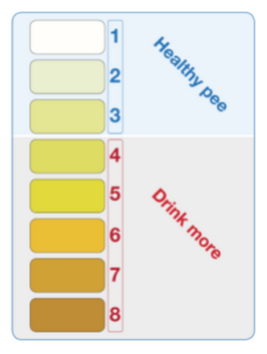 urine colour chart