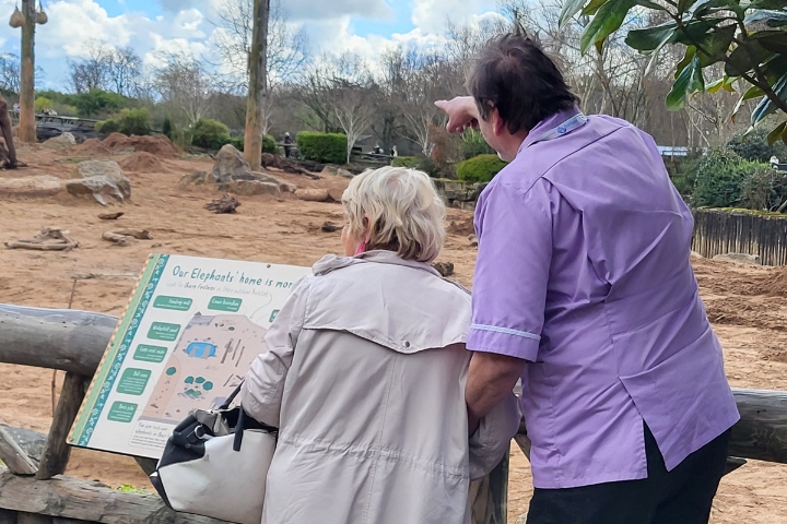 Radfield clients at the Chester zoo