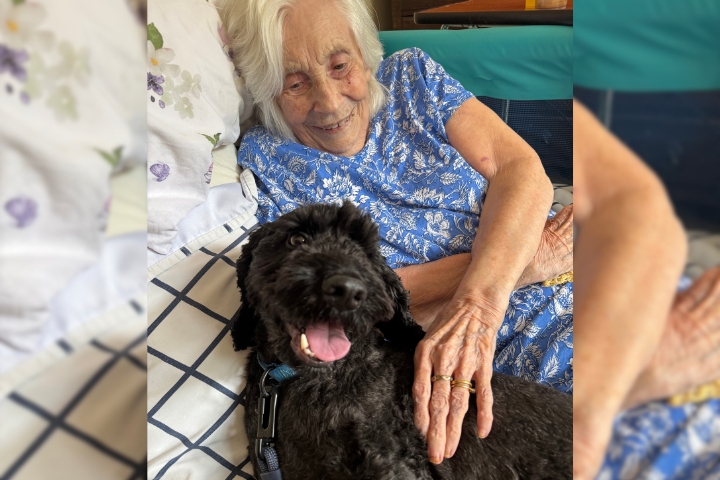 A Dog Visit Brings Comfort to a Bedbound Client in Shrewsbury