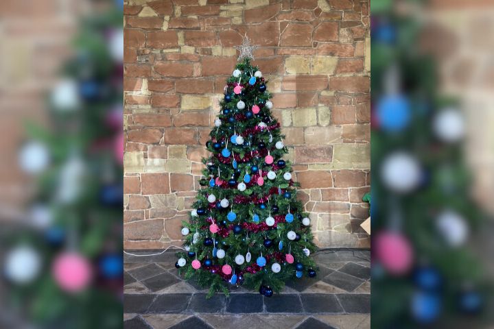 Radfield Home Care's Christmas Tree of Care at Worcester Cathedral in the 2025 Christmas Tree display