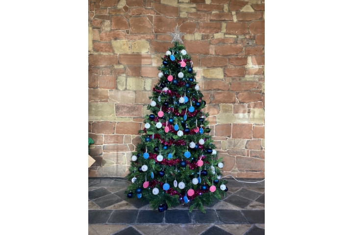 Radfield Home Care tree at the Worcester Christmas Tree Festival