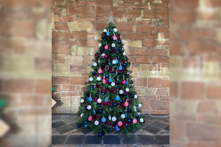 Radfield Home Care Unveils the Tree of Care at Worcester Cathedral
