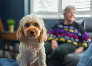 Alternatives to care homes. Picture of a dog and a client - depicting the idea of not wanting to be separated.