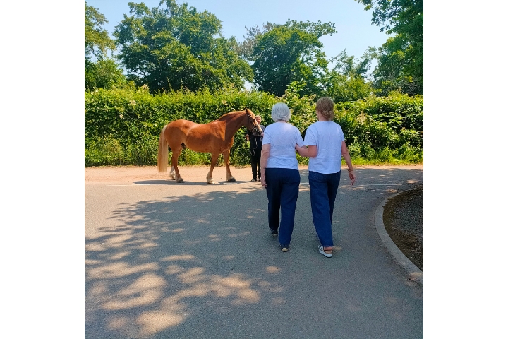 Wendy walking towards a horse, reconnecting with her love for animals