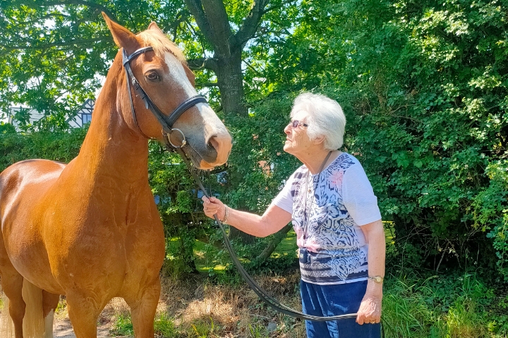 A Special Visit That Brought Wendy’s Love of Horses Back to Life