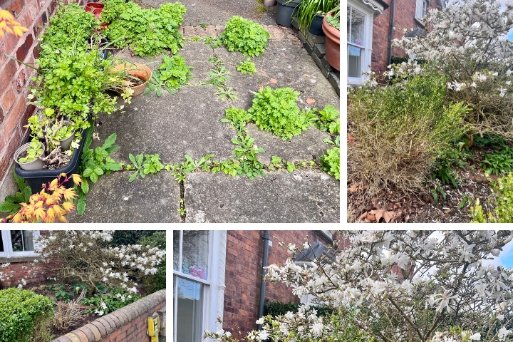 STCA volunteers tidying a garden path and outdoor space.