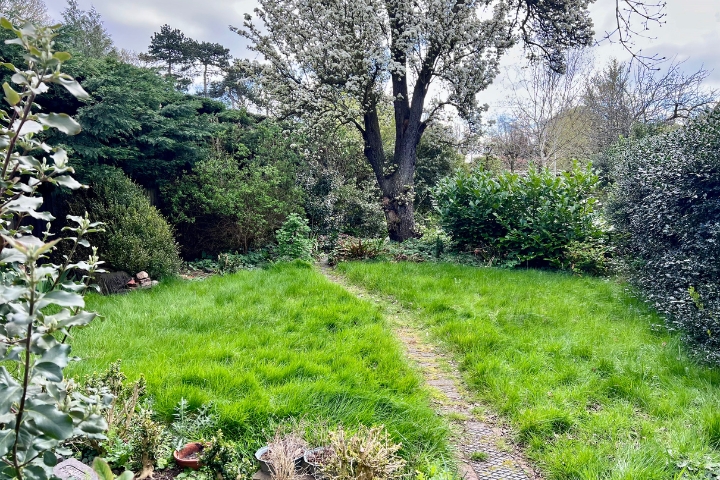 From the Front Door to the Garden Gate: Supporting Wellbeing in Shrewsbury & Oswestry