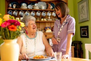 What's the difference between regulated and private carers?