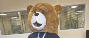 Brad the Radfield Bear