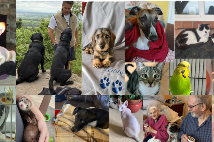 Your June 2026 Newsletter from Radfield Home Care Tarporley & Mid Cheshire