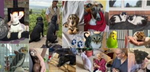 Radfield Tarporley June Newsletter