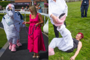 Chester Pantomime Horse Race